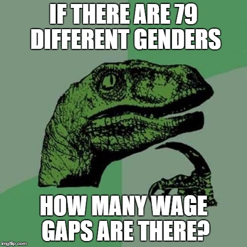 IF THERE ARE 79 DIFFERENT GENDERS; HOW MANY WAGE GAPS ARE THERE? | image tagged in 2 genders,wage gap | made w/ Imgflip meme maker