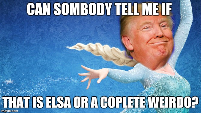 Donald Trump Frozen | CAN SOMBODY TELL ME IF; THAT IS ELSA OR A COPLETE WEIRDO? | image tagged in donald trump frozen | made w/ Imgflip meme maker