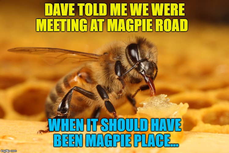 DAVE TOLD ME WE WERE MEETING AT MAGPIE ROAD WHEN IT SHOULD HAVE BEEN MAGPIE PLACE... | made w/ Imgflip meme maker