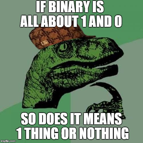 Philosoraptor Meme | IF BINARY IS ALL ABOUT 1 AND 0 SO DOES IT MEANS 1 THING OR NOTHING | image tagged in memes,philosoraptor,scumbag | made w/ Imgflip meme maker
