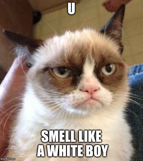 Grumpy Cat Reverse | U; SMELL LIKE A WHITE BOY | image tagged in memes,grumpy cat reverse,grumpy cat | made w/ Imgflip meme maker