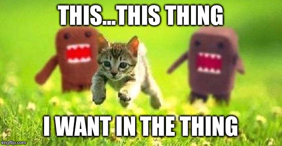 Kittens Running from Domo |  THIS…THIS THING; I WANT IN THE THING | image tagged in kittens running from domo | made w/ Imgflip meme maker