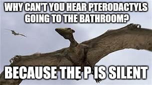 P is silent... | WHY CAN'T YOU HEAR PTERODACTYLS GOING TO THE BATHROOM? BECAUSE THE P IS SILENT | image tagged in pterodactyls,memes,bathroom humor,funny | made w/ Imgflip meme maker