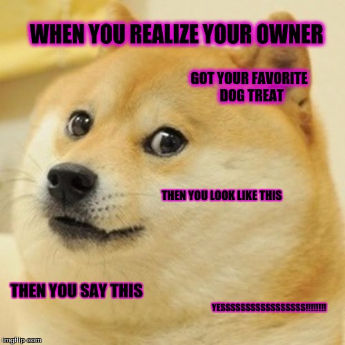 Doge Meme | WHEN YOU REALIZE YOUR OWNER; GOT YOUR FAVORITE  DOG TREAT; THEN YOU LOOK LIKE THIS; THEN YOU SAY THIS; YESSSSSSSSSSSSSSSSS!!!!!!!! | image tagged in memes,doge | made w/ Imgflip meme maker