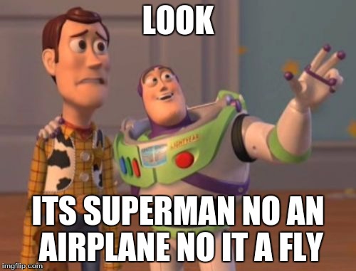 X, X Everywhere | LOOK; ITS SUPERMAN NO AN AIRPLANE NO IT A FLY | image tagged in memes,x x everywhere | made w/ Imgflip meme maker