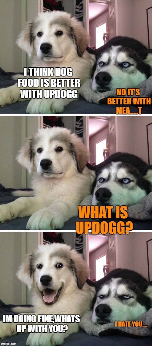 What's Updogg? | I THINK DOG FOOD IS BETTER WITH UPDOGG; NO IT'S BETTER WITH MEA.....T; WHAT IS UPDOGG? IM DOING FINE,WHATS UP WITH YOU? I HATE YOU.... | image tagged in bad pun dogs | made w/ Imgflip meme maker