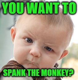 Skeptical Baby Meme | YOU WANT TO SPANK THE MONKEY? | image tagged in memes,skeptical baby | made w/ Imgflip meme maker