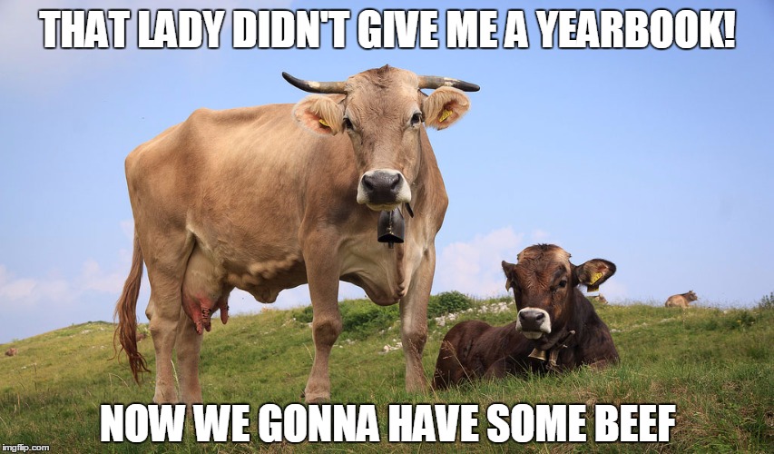 THAT LADY DIDN'T GIVE ME A YEARBOOK! NOW WE GONNA HAVE SOME BEEF | image tagged in cows | made w/ Imgflip meme maker