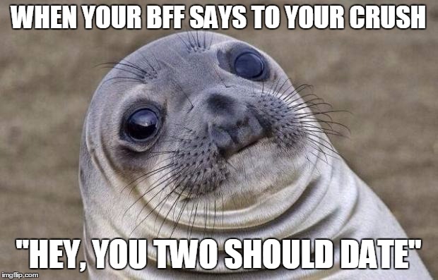 Awkward Moment Sealion Meme | WHEN YOUR BFF SAYS TO YOUR CRUSH; "HEY, YOU TWO SHOULD DATE" | image tagged in memes,awkward moment sealion | made w/ Imgflip meme maker