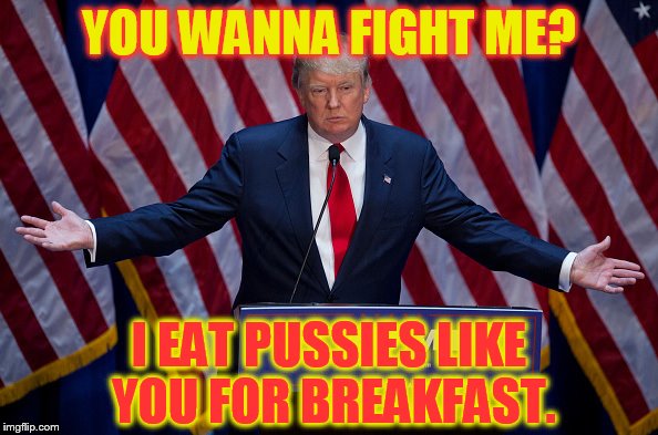 Donald Trump | YOU WANNA FIGHT ME? I EAT PUSSIES LIKE YOU FOR BREAKFAST. | image tagged in donald trump | made w/ Imgflip meme maker