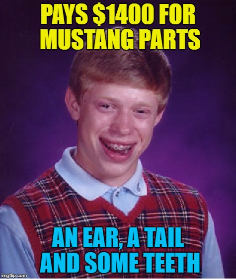 Bad Luck Brian Meme | PAYS $1400 FOR MUSTANG PARTS AN EAR, A TAIL AND SOME TEETH | image tagged in memes,bad luck brian | made w/ Imgflip meme maker
