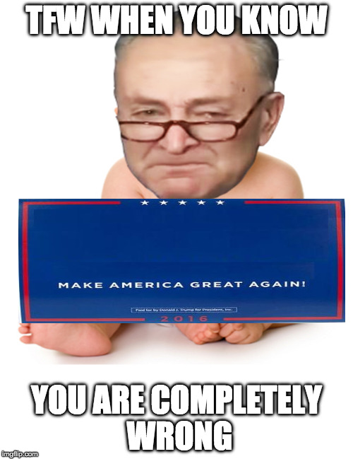 Crying Chuck Schumer | TFW WHEN YOU KNOW; YOU ARE COMPLETELY WRONG | image tagged in cuck,libtard,democrat,2017,liberal,sjw | made w/ Imgflip meme maker