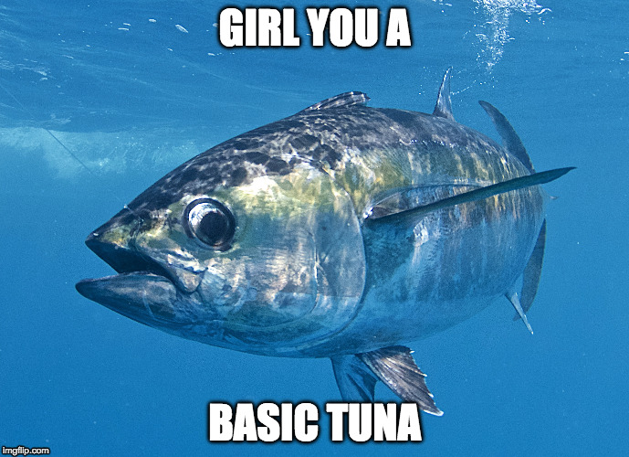 Basic Tuna | GIRL YOU A; BASIC TUNA | image tagged in tuna,basic,basic white girl | made w/ Imgflip meme maker