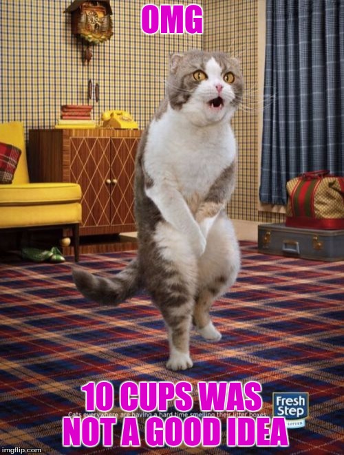 Gotta Go Cat | OMG; 10 CUPS WAS NOT A GOOD IDEA | image tagged in memes,gotta go cat | made w/ Imgflip meme maker