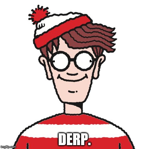 Where's Waldo | DERP. | image tagged in where's waldo | made w/ Imgflip meme maker