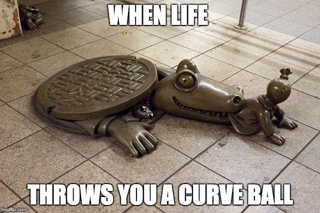 Life | WHEN LIFE; THROWS YOU A CURVE BALL | image tagged in life | made w/ Imgflip meme maker