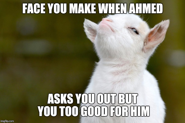  FACE YOU MAKE WHEN AHMED; ASKS YOU OUT BUT YOU TOO GOOD FOR HIM | image tagged in proud baby goat,memes,isis joke,funny | made w/ Imgflip meme maker
