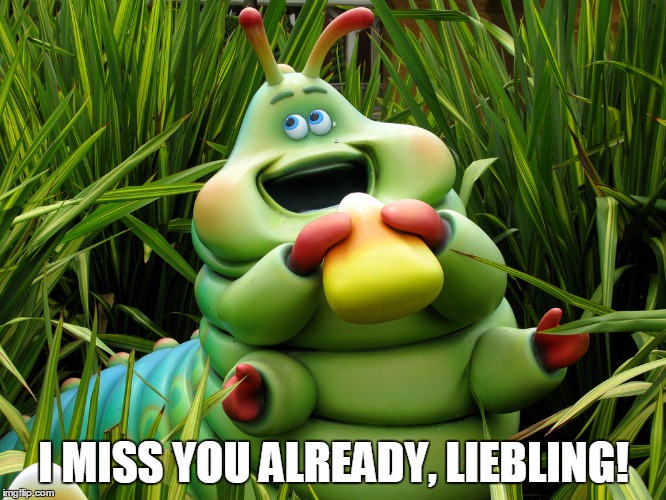 Heimlich the caterpillar | I MISS YOU ALREADY, LIEBLING! | image tagged in liebling | made w/ Imgflip meme maker