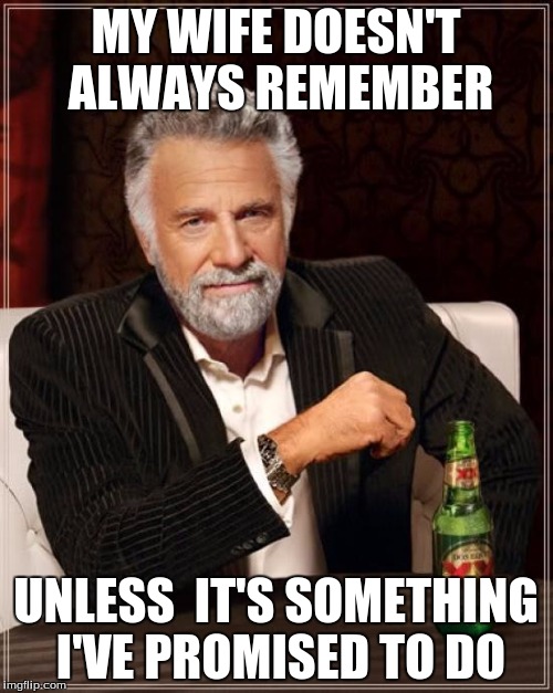 The Most Interesting Man In The World Meme | MY WIFE DOESN'T ALWAYS REMEMBER UNLESS  IT'S SOMETHING I'VE PROMISED TO DO | image tagged in memes,the most interesting man in the world | made w/ Imgflip meme maker