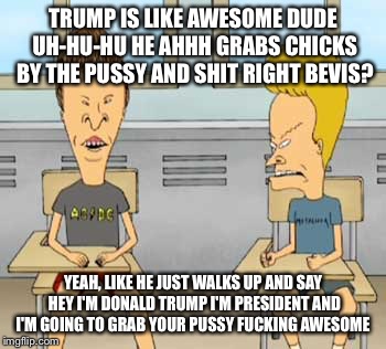 TRUMP IS LIKE AWESOME DUDE UH-HU-HU HE AHHH GRABS CHICKS BY THE PUSSY AND SHIT RIGHT BEVIS? YEAH, LIKE HE JUST WALKS UP AND SAY HEY I'M DONA | made w/ Imgflip meme maker