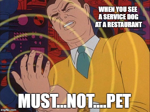 MUST...NOT....PET | image tagged in truth,funny,too real | made w/ Imgflip meme maker