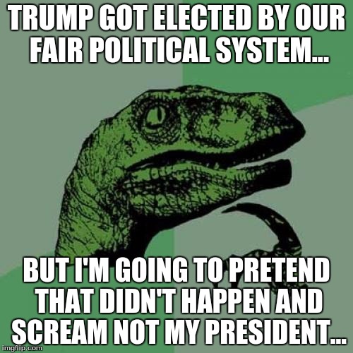 Philosoraptor Meme | TRUMP GOT ELECTED BY OUR FAIR POLITICAL SYSTEM... BUT I'M GOING TO PRETEND THAT DIDN'T HAPPEN AND SCREAM NOT MY PRESIDENT... | image tagged in memes,philosoraptor | made w/ Imgflip meme maker
