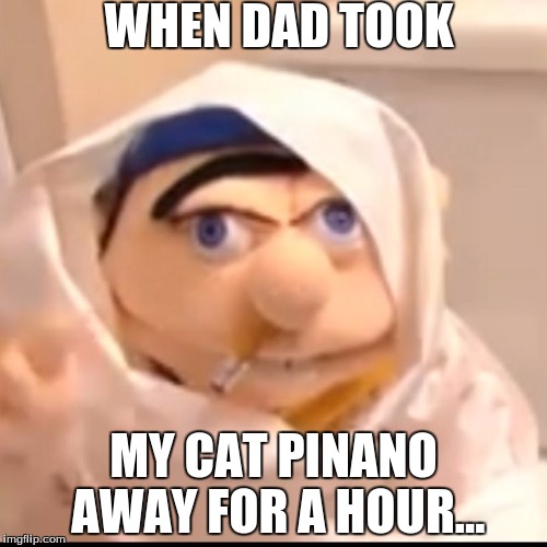 Triggered Jeffy | WHEN DAD TOOK; MY CAT PINANO AWAY FOR A HOUR... | image tagged in triggered jeffy | made w/ Imgflip meme maker