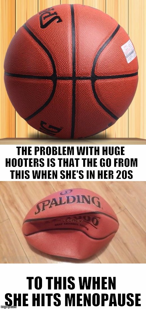 THE PROBLEM WITH HUGE HOOTERS IS THAT THE GO FROM THIS WHEN SHE'S IN HER 20S TO THIS WHEN SHE HITS MENOPAUSE | made w/ Imgflip meme maker