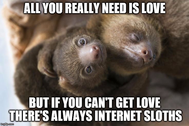 Internet Sloths | ALL YOU REALLY NEED IS LOVE; BUT IF YOU CAN'T GET LOVE THERE'S ALWAYS INTERNET SLOTHS | image tagged in internet sloths,sloth,hug | made w/ Imgflip meme maker