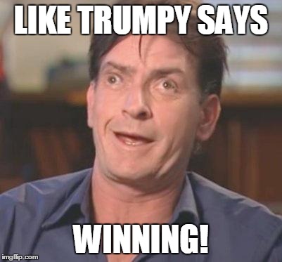 Charlie Sheen DERP | LIKE TRUMPY SAYS; WINNING! | image tagged in charlie sheen derp | made w/ Imgflip meme maker