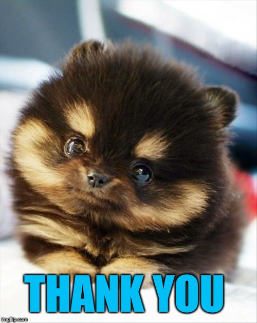 THANK YOU | made w/ Imgflip meme maker