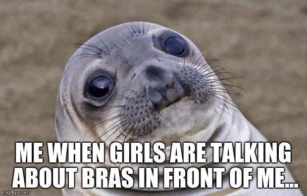 Awkward Moment Sealion | ME WHEN GIRLS ARE TALKING ABOUT BRAS IN FRONT OF ME... | image tagged in memes,awkward moment sealion | made w/ Imgflip meme maker