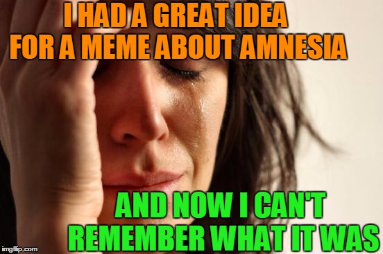 First World Problems Meme | I HAD A GREAT IDEA FOR A MEME ABOUT AMNESIA AND NOW I CAN'T REMEMBER WHAT IT WAS | image tagged in memes,first world problems | made w/ Imgflip meme maker