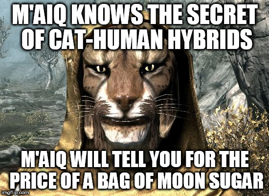 m'aiq the liar knows the secret of cat-human hybrids | M'AIQ KNOWS THE SECRET OF CAT-HUMAN HYBRIDS; M'AIQ WILL TELL YOU FOR THE PRICE OF A BAG OF MOON SUGAR | image tagged in m'aiq the liar,skyrim,moon,sugar,elder scrolls | made w/ Imgflip meme maker