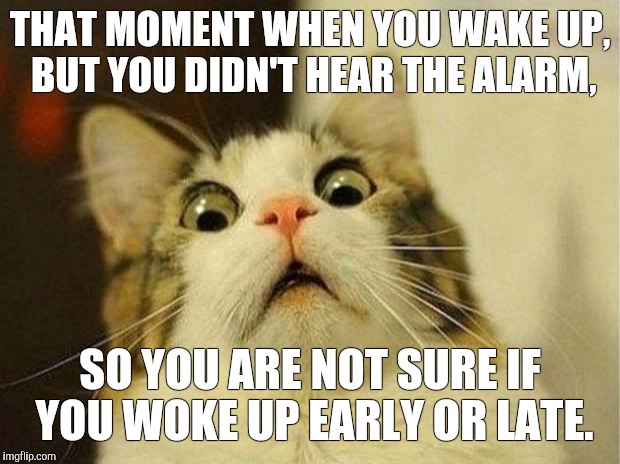 Scared Cat Meme | THAT MOMENT WHEN YOU WAKE UP, BUT YOU DIDN'T HEAR THE ALARM, SO YOU ARE NOT SURE IF YOU WOKE UP EARLY OR LATE. | image tagged in memes,scared cat | made w/ Imgflip meme maker