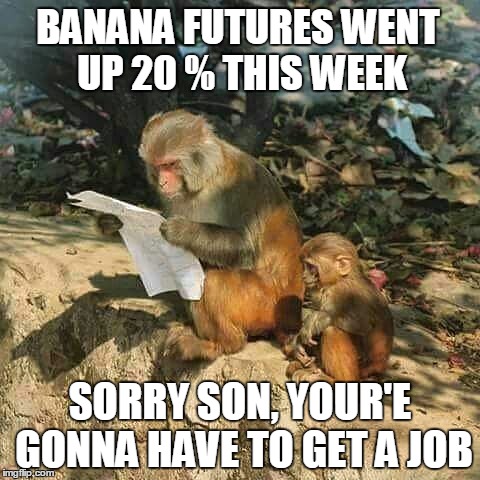 The economy is tough everywhere. | BANANA FUTURES WENT UP 20 % THIS WEEK; SORRY SON, YOUR'E GONNA HAVE TO GET A JOB | image tagged in politics,economics,bananas,banana week,monkey business,not my monkeys | made w/ Imgflip meme maker