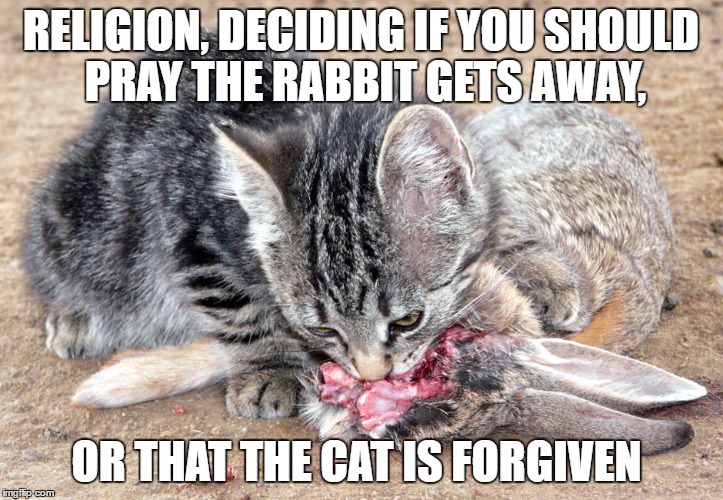 religion | RELIGION, DECIDING IF YOU SHOULD PRAY THE RABBIT GETS AWAY, OR THAT THE CAT IS FORGIVEN | image tagged in bible sucks | made w/ Imgflip meme maker