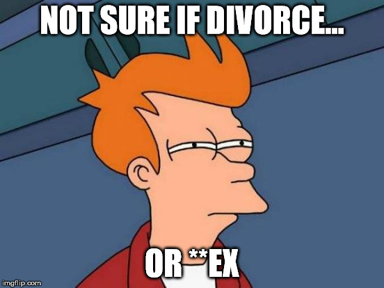 Futurama Fry Meme | NOT SURE IF DIVORCE... OR **EX | image tagged in memes,futurama fry | made w/ Imgflip meme maker