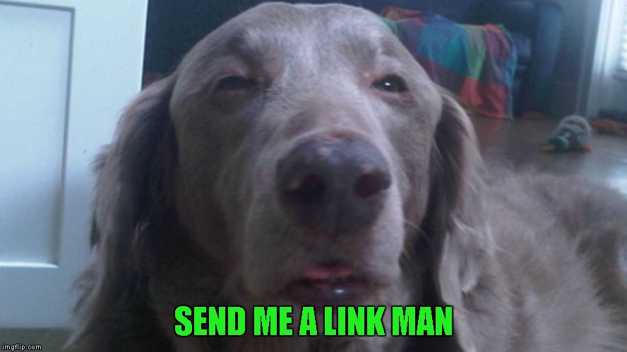 SEND ME A LINK MAN | made w/ Imgflip meme maker