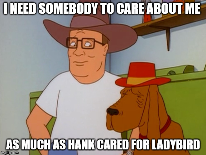 Ladybird & Hank Forever | I NEED SOMEBODY TO CARE ABOUT ME; AS MUCH AS HANK CARED FOR LADYBIRD | image tagged in king of the hill,comedy,funny,funny memes,laughs,too funny | made w/ Imgflip meme maker
