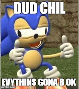 Drunk Sonic | DUD CHIL; EVYTHINS GONA B OK | image tagged in drunk sonic | made w/ Imgflip meme maker
