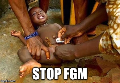 STOP FGM | image tagged in stop fgm | made w/ Imgflip meme maker