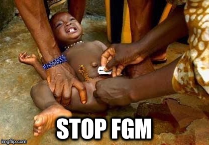 STOP FGM | made w/ Imgflip meme maker