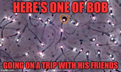 HERE'S ONE OF BOB GOING ON A TRIP WITH HIS FRIENDS | made w/ Imgflip meme maker