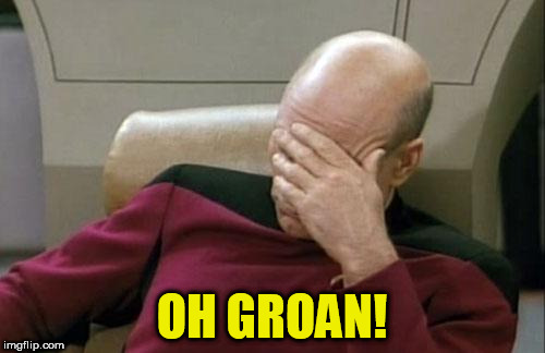 Captain Picard Facepalm Meme | OH GROAN! | image tagged in memes,captain picard facepalm | made w/ Imgflip meme maker