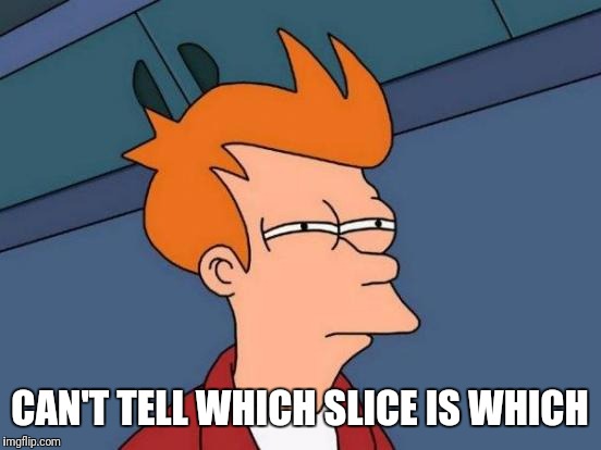 Futurama Fry Meme | CAN'T TELL WHICH SLICE IS WHICH | image tagged in memes,futurama fry | made w/ Imgflip meme maker