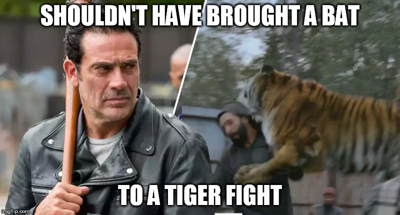 SHOULDN'T HAVE BROUGHT A BAT; TO A TIGER FIGHT | image tagged in twd tiger | made w/ Imgflip meme maker