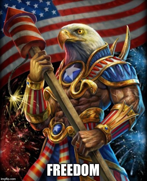 Freedom eagle opan | FREEDOM | image tagged in freedom eagle opan | made w/ Imgflip meme maker