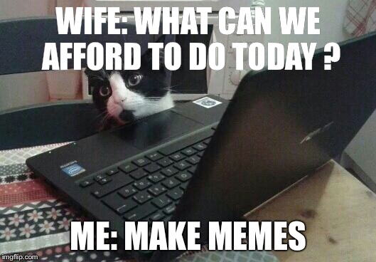 Disappointed Tech Support Cat | WIFE: WHAT CAN WE AFFORD TO DO TODAY ? ME: MAKE MEMES | image tagged in disappointed tech support cat | made w/ Imgflip meme maker