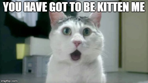 YOU HAVE GOT TO BE KITTEN ME | made w/ Imgflip meme maker